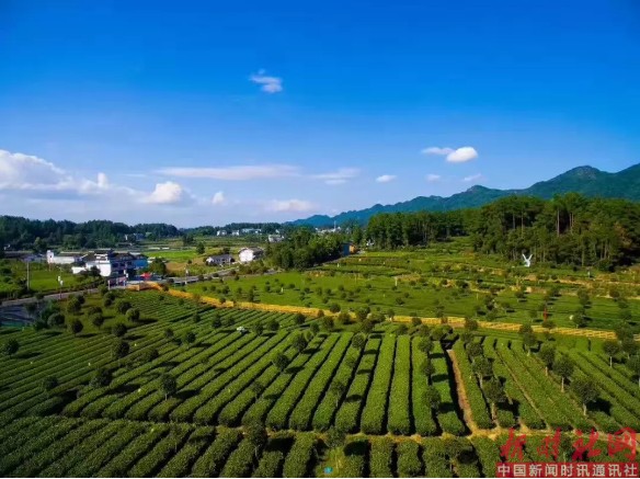 1551930765277584.png c4.png