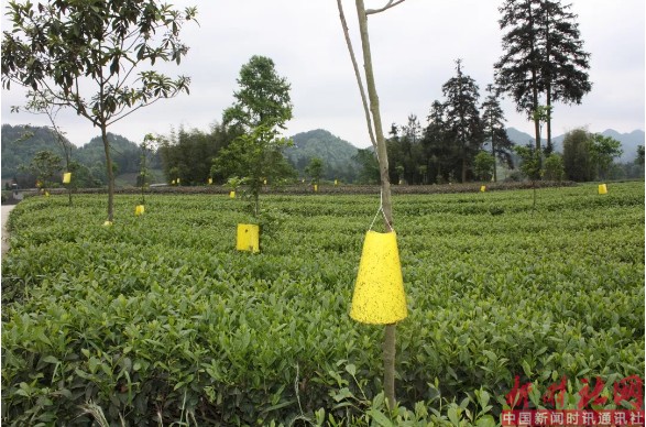 1551932139657074.png c7.png