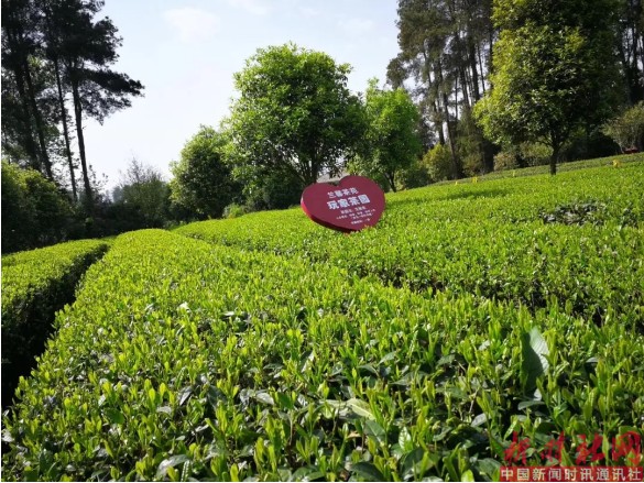 1551930682547012.png c2.png