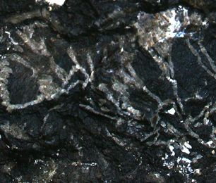 自然密码——石头上的文字图案