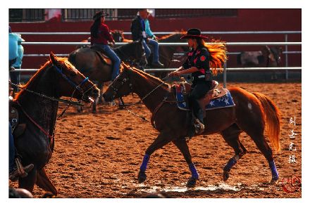 《马术》