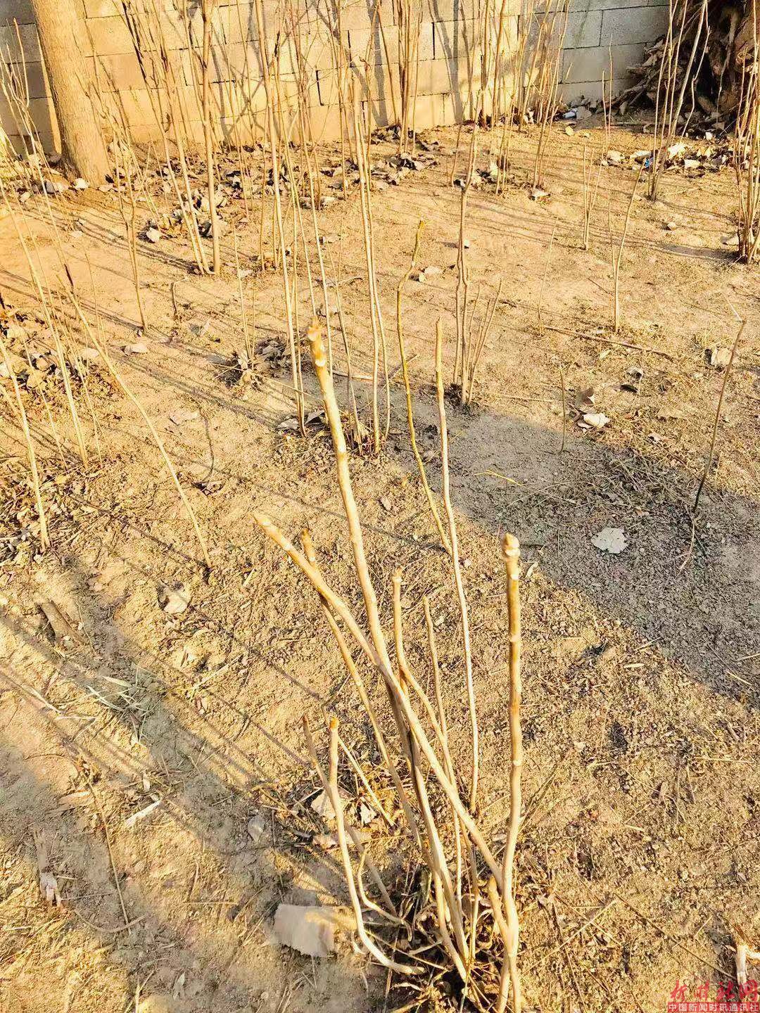 55555555555555555555