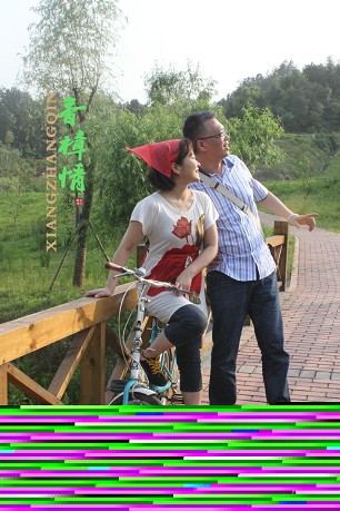 香樟树下同学情